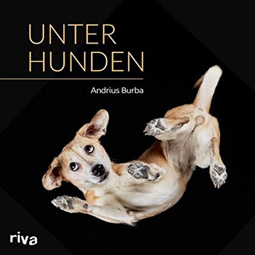 Unter Hunden