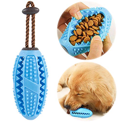 onebarleycorn – Hund Zahnbürsten Stick, Hundespielzeug Ball Hundeball mit Zahnpflege Naturkautschuck Spielzeug Zahnreinigungsspielzeug für Hunde (Blau) onebarleycorn – Hund Zahnbürsten Stick, Hundespielzeug Ball Hundeball mit Zahnpflege Naturkautschuck Spielzeug Zahnreinigungsspielzeug für Hunde (Blau)
