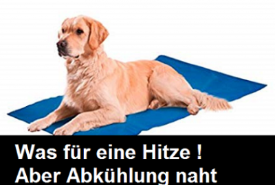 Abkühlung Hundematte Sommerhitze