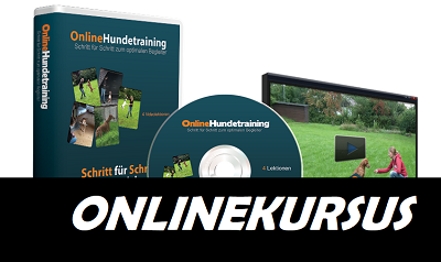 online kursus hundetraining
