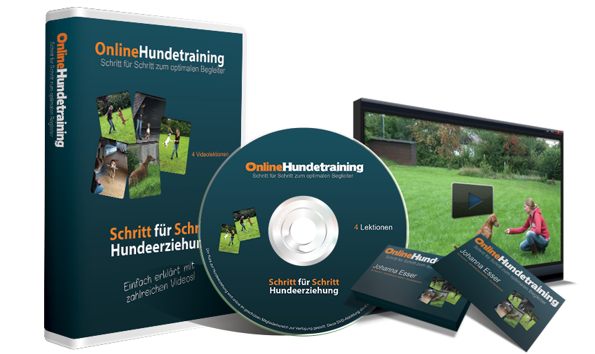 OnlineKursus Hundetraining