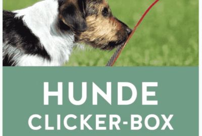 Hunde Clicker Box