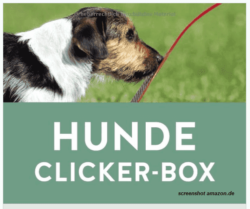 Hunde Clicker Box